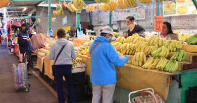 Suben precios al consumidor en primera quincena de enero; tomate verde y plátano, con más alza