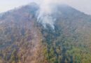 Más de 400 brigadistas combaten incendio forestal en cerro Grande