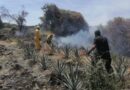 Protección Civil de Sahuayo llama a la prevención de incendios forestales.