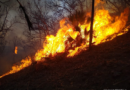 Brigadistas combaten incendios forestales en Morelia y La Huacana
