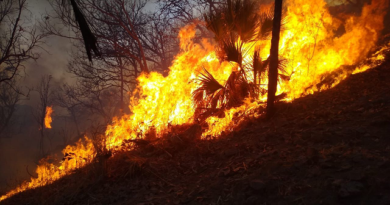 Brigadistas combaten incendios forestales en Morelia y La Huacana