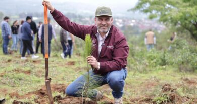 Se avanzó en la recuperación del lago de Pátzcuaro; se plantaron 1.8 millones de árboles: Bedolla