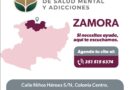 Centro de Salud Mental de Zamora ha brindado más de 18 mil consultas: SSM