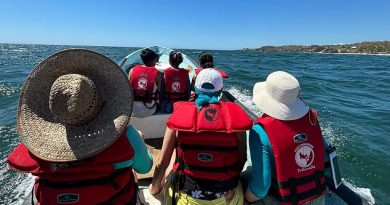 Regresan las ballenas jorobadas al Pacífico michoacano: Compesca