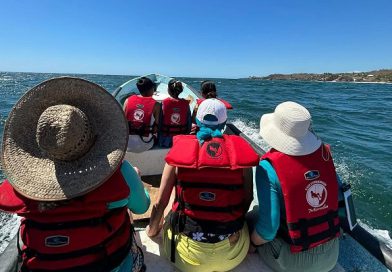 Regresan las ballenas jorobadas al Pacífico michoacano: Compesca