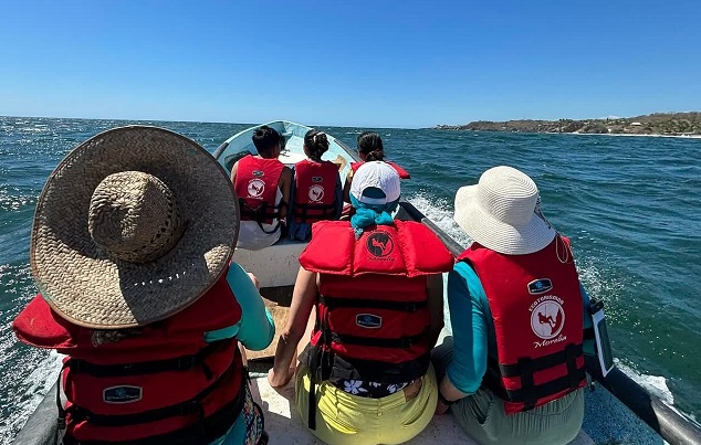 Regresan las ballenas jorobadas al Pacífico michoacano: Compesca