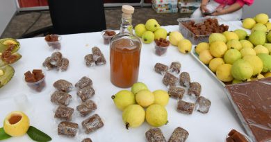 Sedeco lanza convocatoria para certificar la guayaba michoacana con Indicación Geográfica