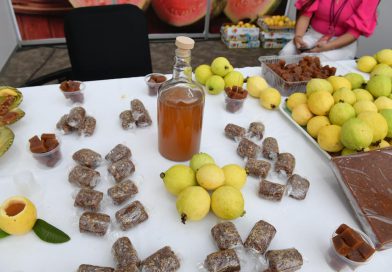 Sedeco lanza convocatoria para certificar la guayaba michoacana con Indicación Geográfica