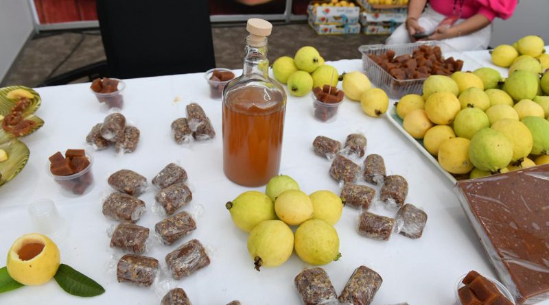 Sedeco lanza convocatoria para certificar la guayaba michoacana con Indicación Geográfica