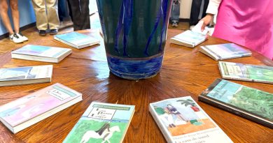 Joy Laville y su mundo inmaterial llegaron al MACAZ