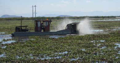 Michoacán rehabilitará 60 hectáreas del lago de Cuitzeo