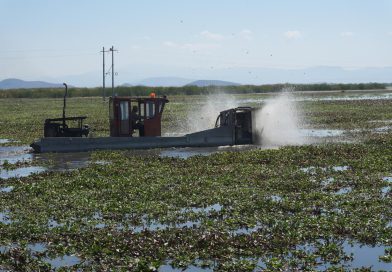 Michoacán rehabilitará 60 hectáreas del lago de Cuitzeo