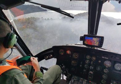 Atiende Gobierno de Michoacán incendio forestal en Nuevo Urecho