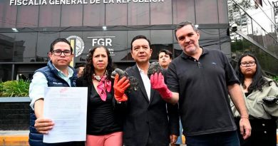 Panistas denuncian ante FGR el “huachicol marítimo de petróleo” que contaminó al Golfo de México; hasta 20 años de cárcel vs funcionarios de PEMEX