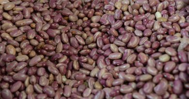 ¿Dónde comprar más barato? La estrategia que protege la economía de tu familia