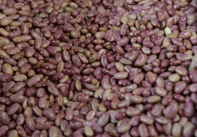 ¿Dónde comprar más barato? La estrategia que protege la economía de tu familia