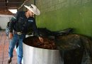 Sedeco convoca a participar en el nuevo Consejo Michoacano del Mezcal