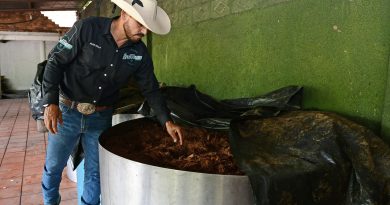 Sedeco convoca a participar en el nuevo Consejo Michoacano del Mezcal
