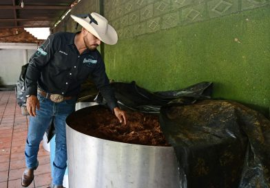 Sedeco convoca a participar en el nuevo Consejo Michoacano del Mezcal