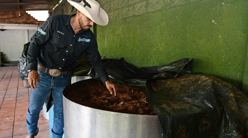Sedeco convoca a participar en el nuevo Consejo Michoacano del Mezcal