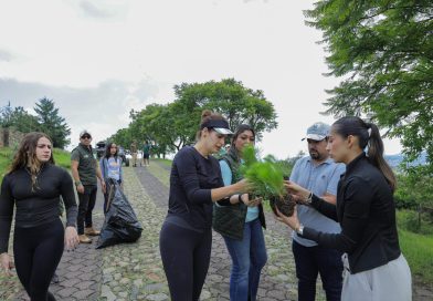 *ENCABEZA DIPUTADA SANDRA ARREOLA RUIZ JORNADA DE REFORESTACIÓN *