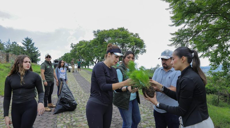 *ENCABEZA DIPUTADA SANDRA ARREOLA RUIZ JORNADA DE REFORESTACIÓN *