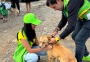En el Día Mundial del Perro, Ernesto Núñez refrenda compromiso del Partido Verde con el bienestar animal