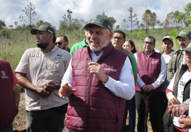 Michoacán referente en cuidado ambiental; plantarán 2.5 millones de árboles en la cuenca del lago de Pátzcuaro: Bedolla