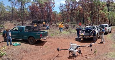 Drones reforestan las zonas más inaccesibles de Michoacán con programa Bio Renace