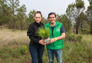 Encabeza PVEM jornada de reforestación en Morelia como parte del plan «Michoacán Competitivo»