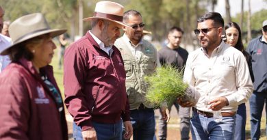 Estrategia ambiental de Michoacán sumará histórico de 50 millones de árboles reforestados: Bedolla