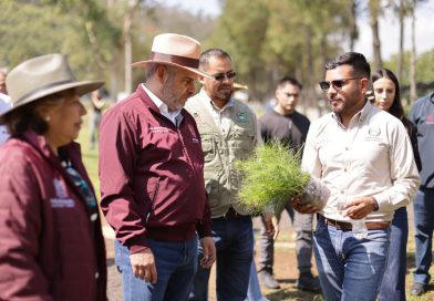 Estrategia ambiental de Michoacán sumará histórico de 50 millones de árboles reforestados: Bedolla