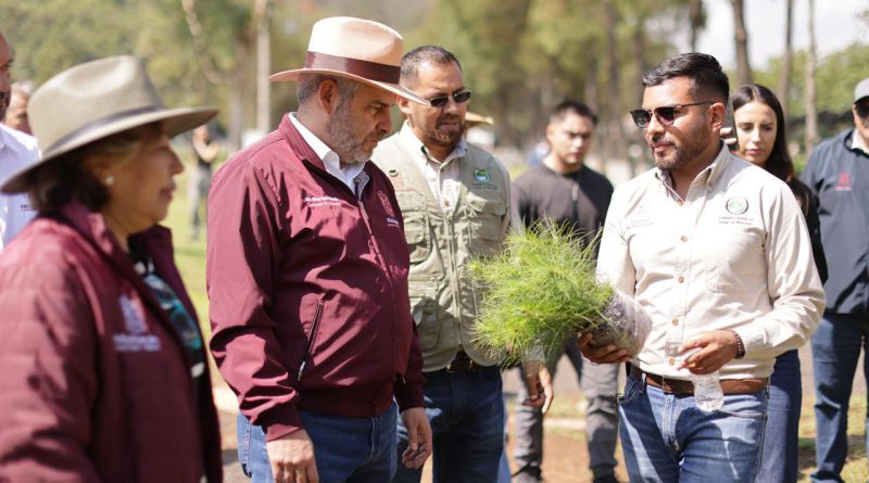 Estrategia ambiental de Michoacán sumará histórico de 50 millones de árboles reforestados: Bedolla