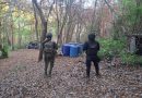 Fuerzas estatales y federales desmantelan laboratorio de drogas sintéticas en Lázaro Cárdenas