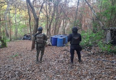 Fuerzas estatales y federales desmantelan laboratorio de drogas sintéticas en Lázaro Cárdenas