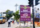 Morebús impulsa reforestación urbana este domingo 23 de agosto