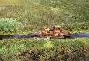Intensifican trabajos de recuperación en el lago de Cuitzeo con maquinaria especializada
