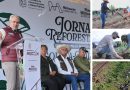 Avanza compromiso ambiental del Morebús con la plantación de 2 mil 500 árboles