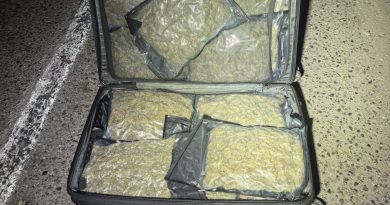 Guardianes del Camino aseguran más de 20 kg de marihuana en Lázaro Cárdenas
