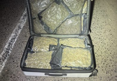 Guardianes del Camino aseguran más de 20 kg de marihuana en Lázaro Cárdenas