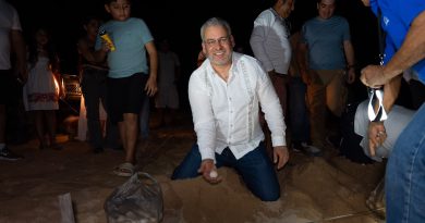 Con apoyo de 27 campamentos, Michoacán proyecta el nacimiento de 1.8 millones de tortugas: Bedolla