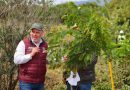 El gobernador Alfredo Ramírez Bedolla encabezó la segunda jornada de reforestación del proyecto Morebús en los límites de Morelia y Charo, donde se plantaron 2 mil 500 árboles.