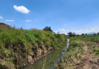 Avanza al 60% la limpieza del canal entre La Mintzita y San Juanito Itzícuaro en Morelia: Rogelio Zarazúa