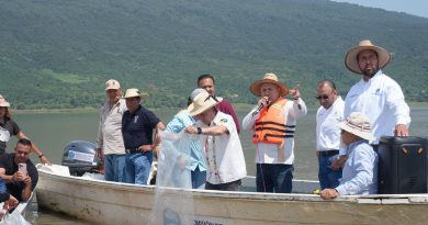 Compesca libera 80 mil nuevas crías de pez blanco en el lago de Pátzcuaro