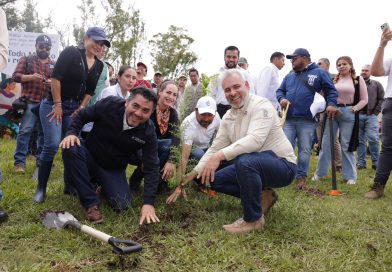 Arrancò reforestación de 32 mil árboles en la ruta del Morebús: Bedolla