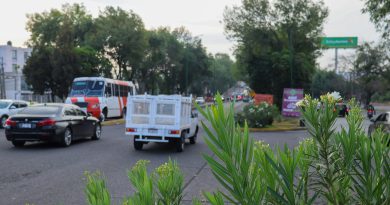 Con ajuste del proyecto del Morebús se rescatarán y trasplantarán 27 árboles en Tres Puentes
