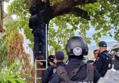 Aseguran SSP y fuerzas federales 12 cámaras parásitas en Apatzingán
