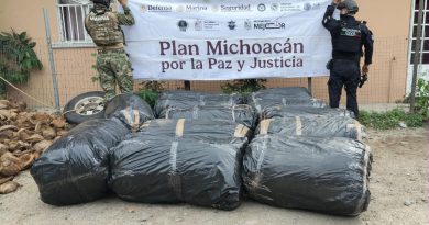 SSP y Marina aseguran camioneta con casi media tonelada de marihuana en Lázaro Cárdenas