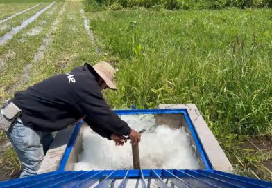 En 5 años se han destinado 889 mdp para modernización del campo michoacano: Conagua