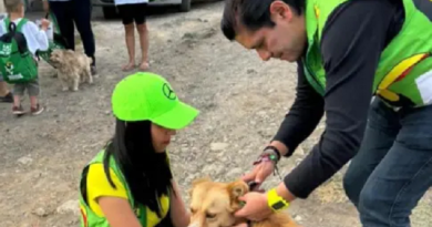 Propone PVEM atención veterinaria a animales comunitarios en Michoacán